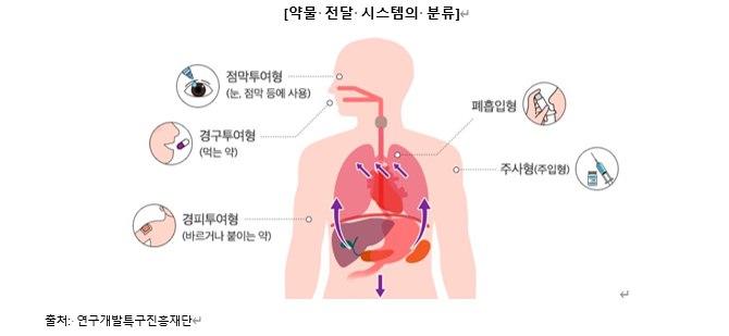 약물전달 시스템 DDS 주사 제형