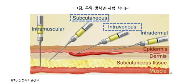 약물전달 시스템 DDS 주사 제형